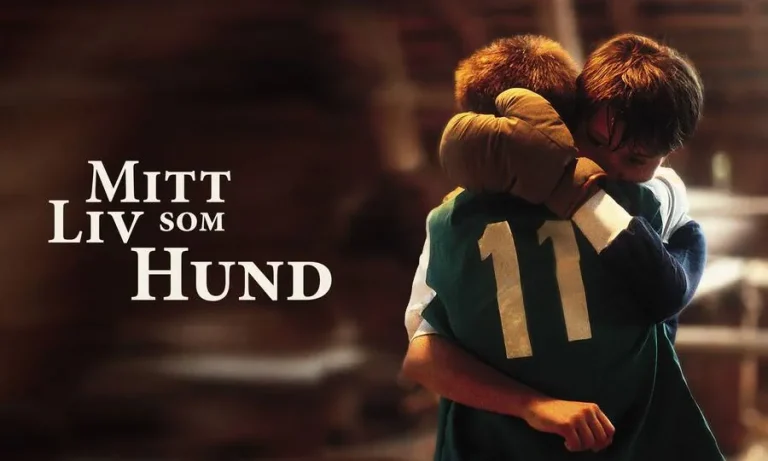 mitt-liv-som-hund